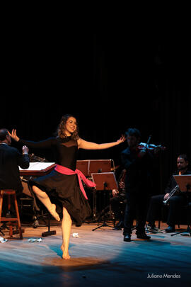 Concerto a “História do Soldado”