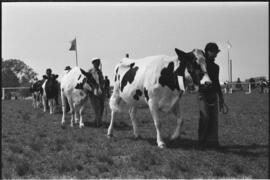 Exposição-Feira Agropecuária 3