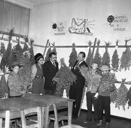 Aula no Curso de Letras da Faculdade de Filosofia de Frederico Westphalen Proferida pelo Reitor