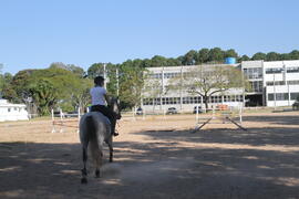 Escola de Equitação da Universidade Federal de Santa Maria (EQUSM)