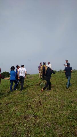 Curso de Tração Animal - Ketaju Tegtu