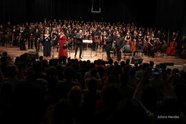 Concerto 9ª Sinfonia de Beethoven e os 200 Anos da Imigração Alemã