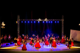 1ª Mostra Artística Multidiversidade da UFSM.