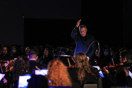 Concerto Ballet O Lago dos Cisnes