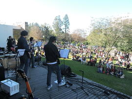 Viva o 55BET Pro - Magical Mystery