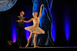 Concerto Ballet O Lago dos Cisnes