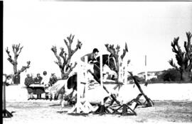 Festival Hípico de Santa Maria, VI