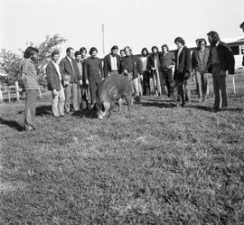 Alunos do curso de agronomia em atividades do campo e no laboratório