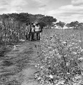 'Inauguração do Projeto Oswaldo Aranha em Alegrete