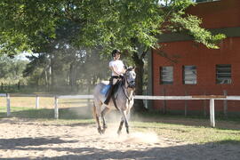 Escola de Equitação da Universidade Federal de Santa Maria (EQUSM)