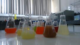 Bastidores da gravação para o programa Globo Repórter sobre alimentos anti-inflamatórios