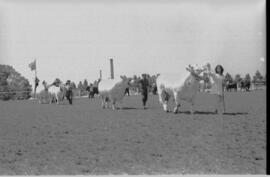 XI Exposição Feira Agropecuária