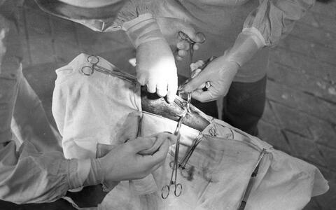 Original Objeto digital not accessible