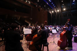 Concerto 9ª Sinfonia de Beethoven e os 200 Anos da Imigração Alemã