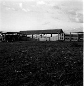 Vistas aéreas e terrestres da Cidade Universitária