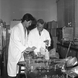 Alunos do curso de agronomia em atividades do campo e no laboratório