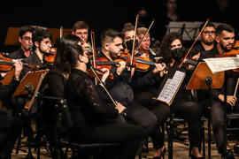 Concerto Ballet O Lago dos Cisnes