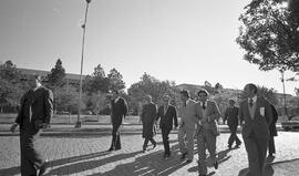 Solenidade de Encerramento do XVI Congresso Estadual de Economia Orizícola