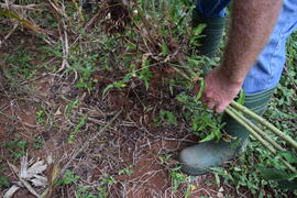 Visita a agricultor participante da Polifeira