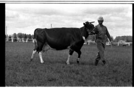 10ª Exposição Feira Agropecuária de Santa Maria