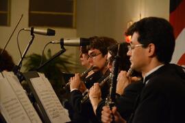 Concertos Didáticos Regionais